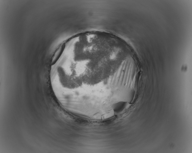 X0000090881359200708241932