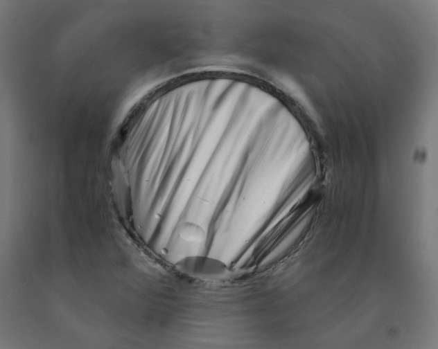 X0000090881360200708241932