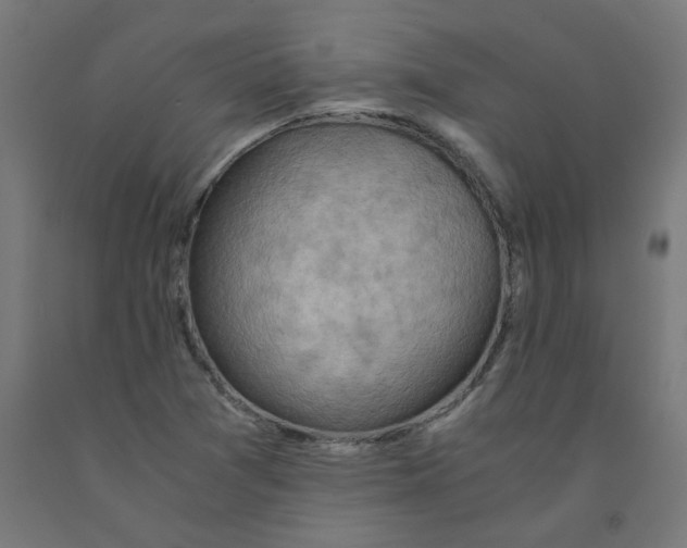 X0000090881361200708241932