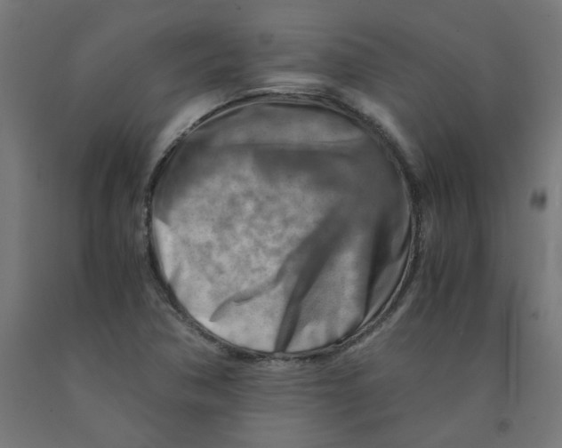 X0000090881362200708241932