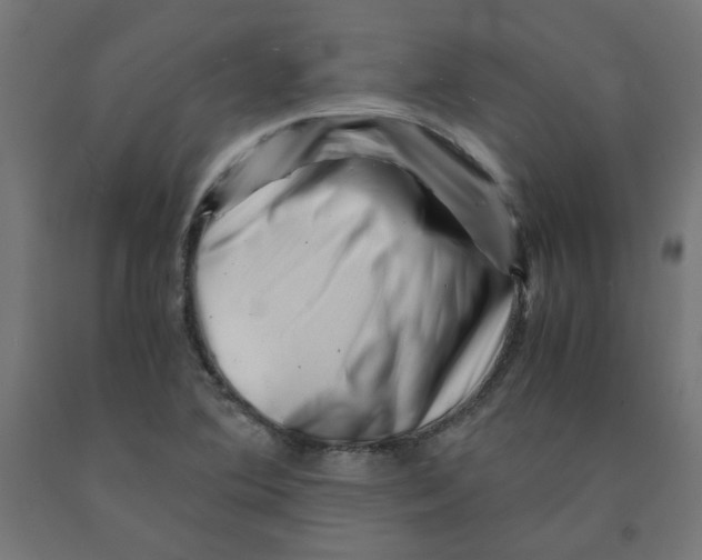 X0000090881364200708241932