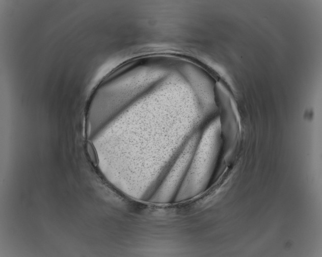 X0000090881365200708241932