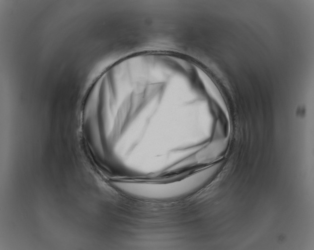 X0000090881366200708241932