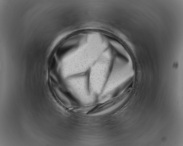 X0000090881368200708241932