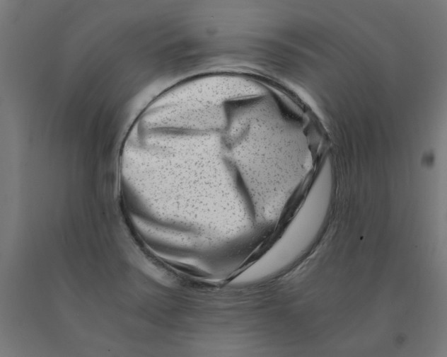 X0000090881371200708241932