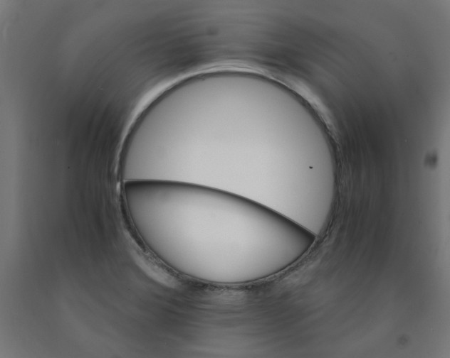 X0000090881372200708241932