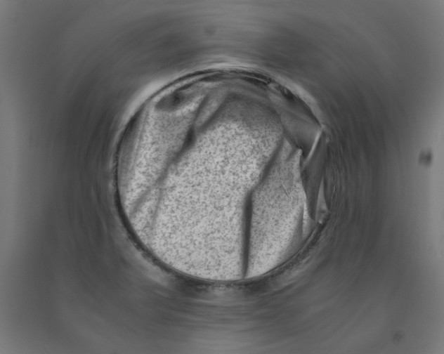 X0000090881375200708241932