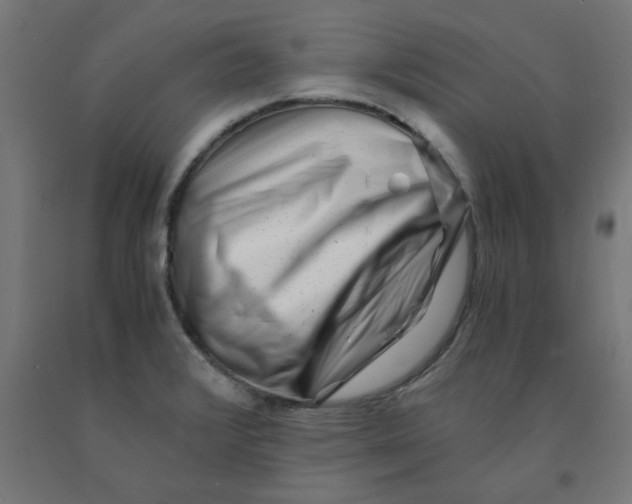 X0000090881376200708241931