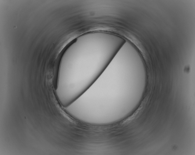 X0000090881377200708241931