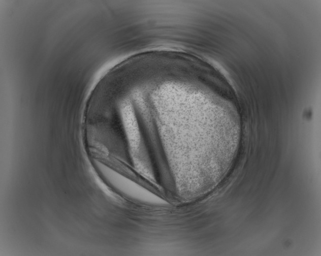 X0000090881379200708241931