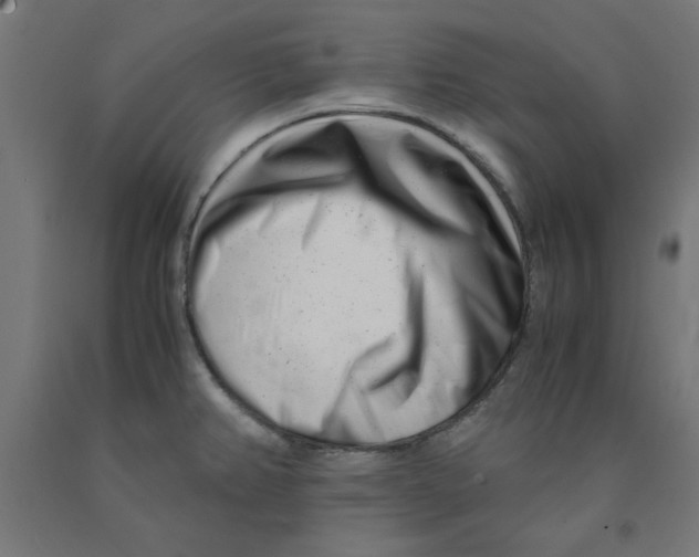 X0000090881382200708241931