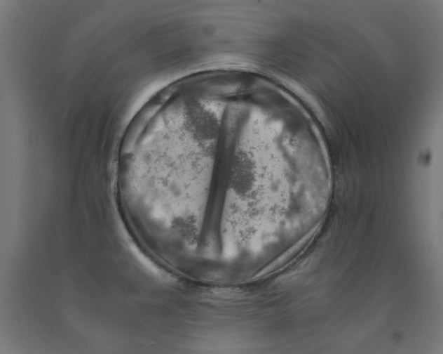 X0000090881383200708241931