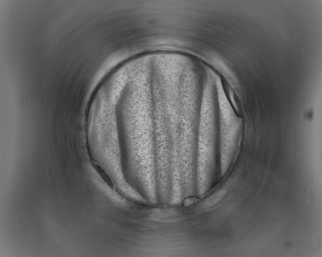 X0000090881384200708241931