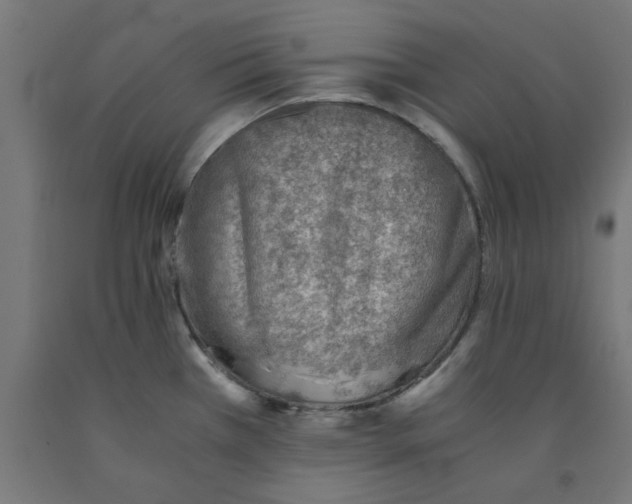 X0000090881385200708241931