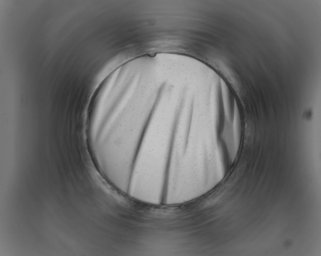 X0000090881386200708241931