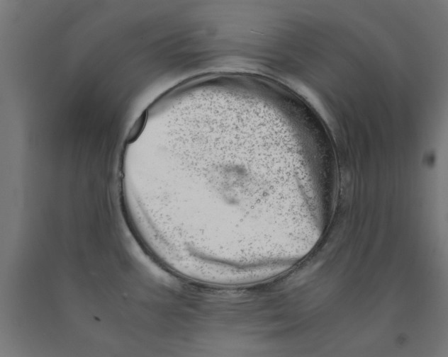 X0000090881387200708241931