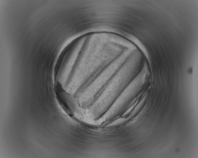 X0000090881388200708241931