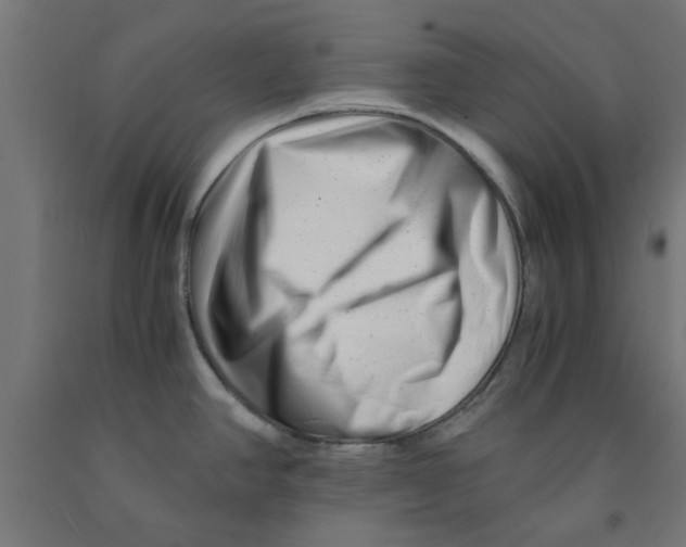 X0000090881390200708241931