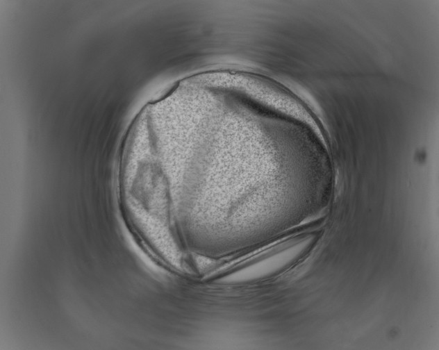 X0000090881391200708241931