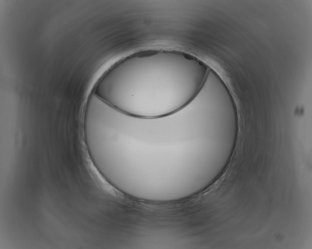 X0000090881392200708241931