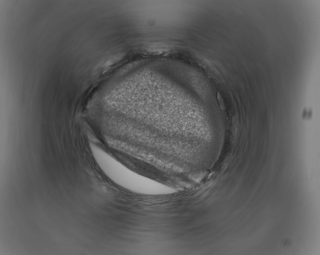 X0000090881394200708241931