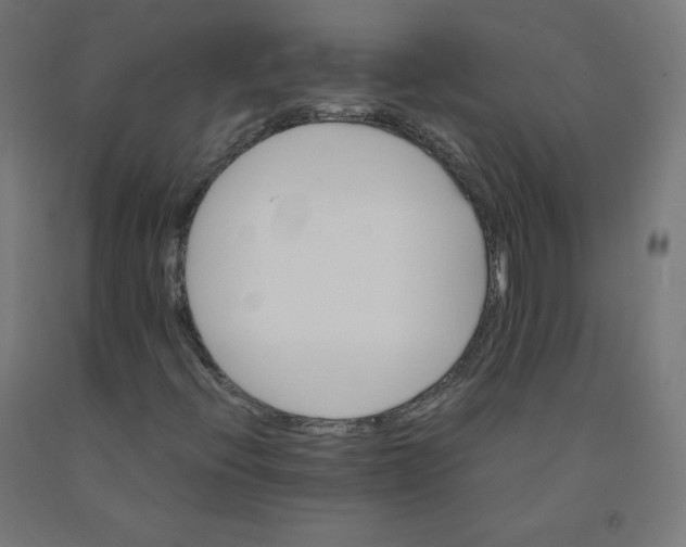 X0000090881396200708241931