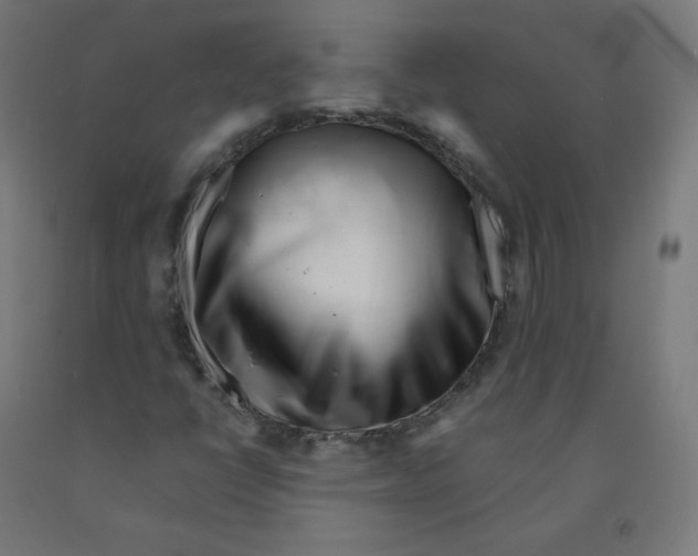 X0000090881398200708241931