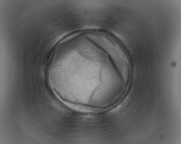 X0000090881401200708241931