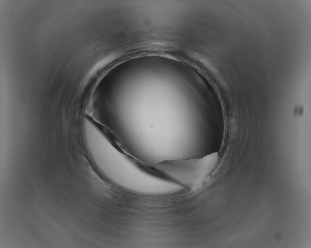 X0000090881402200708241931