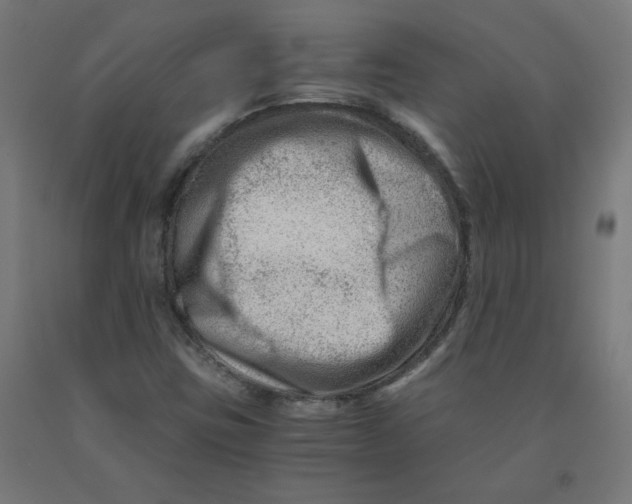 X0000090881403200708241931