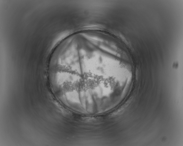 X0000090881405200708241931