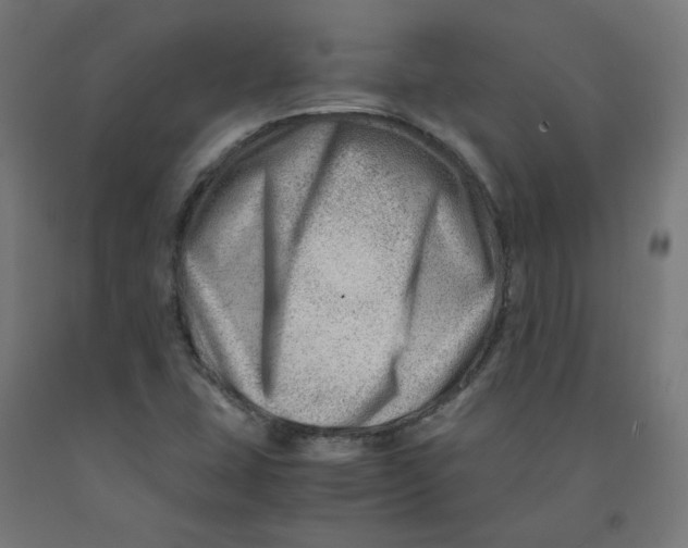 X0000090881407200708241931