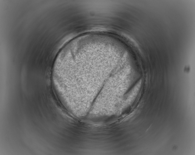 X0000090881409200708241931