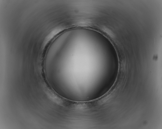 X0000090881410200708241931