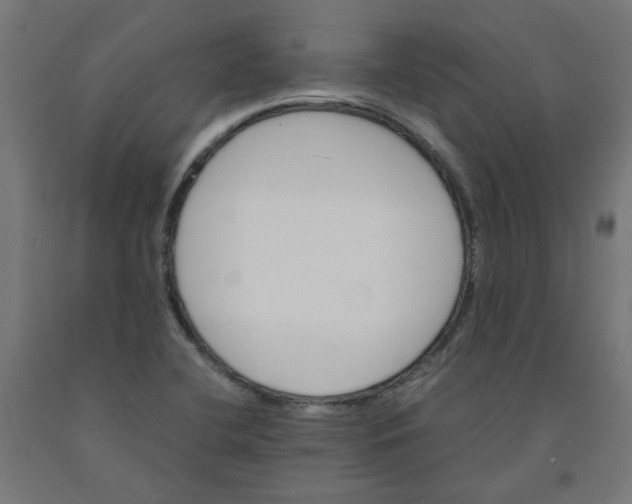 X0000090881412200708241931