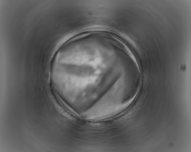 X0000090881413200708241931