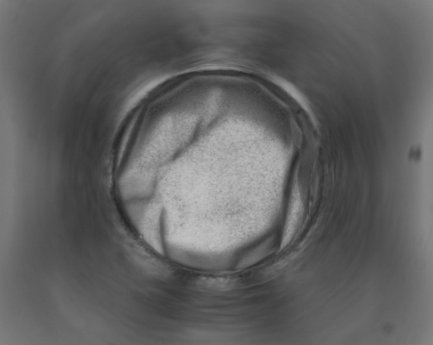 X0000090881415200708241931