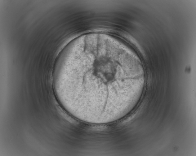 X0000090881417200708241931