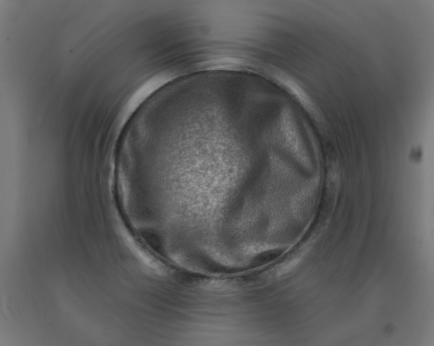 X0000090881418200708241931