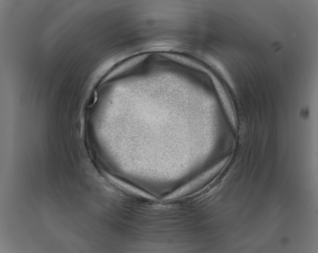 X0000090881419200708241931