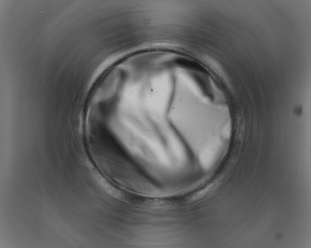 X0000090881420200708241931