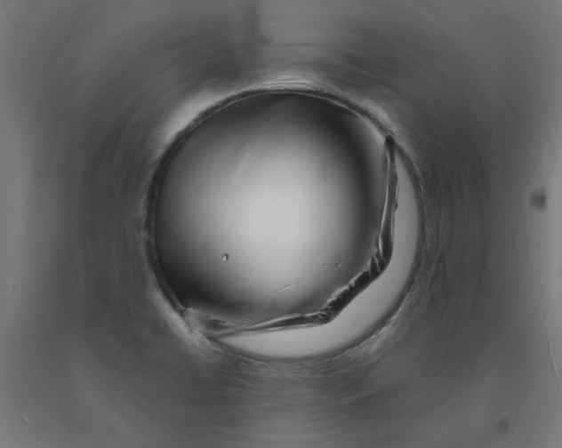 X0000090881422200708241931