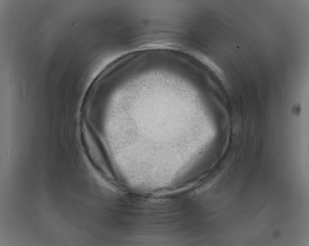 X0000090881423200708241931