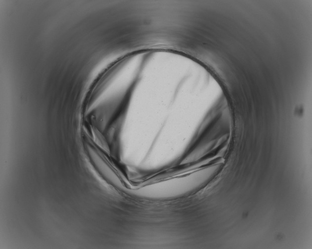 X0000090881424200708241931