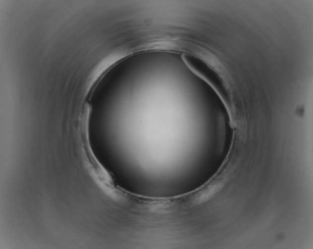 X0000090881426200708241931