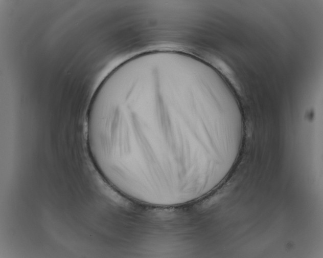 X0000090881428200708241931