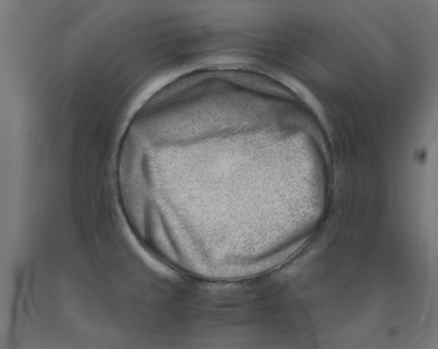 X0000090881429200708241931