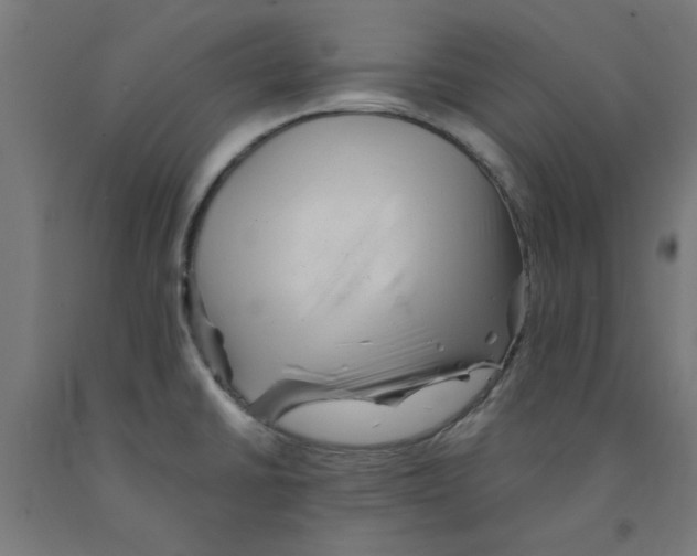 X0000090881430200708241931