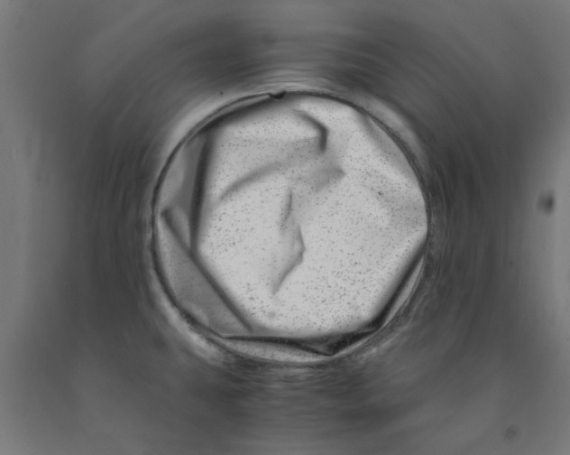 X0000090881431200708241931