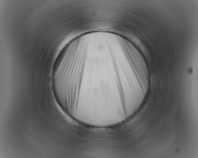 X0000090881432200708241931